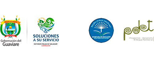 guaviareconectadigital